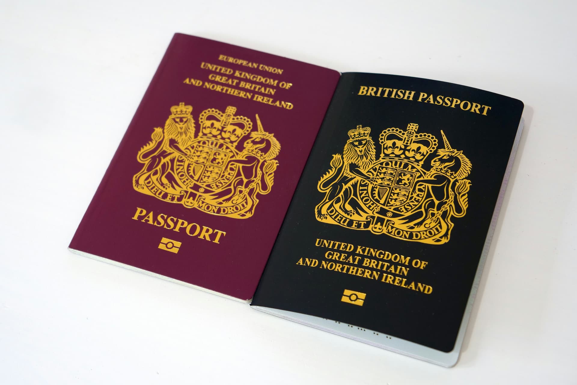Immigration
